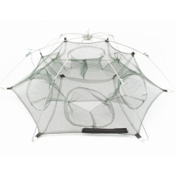 Раколовки парасольки, 8 входів