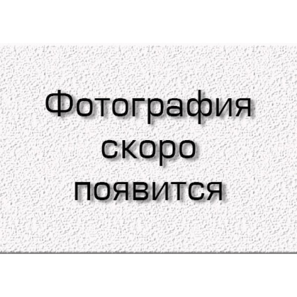 Намет для туризму та відпочинку чотиримісний BA-1677D