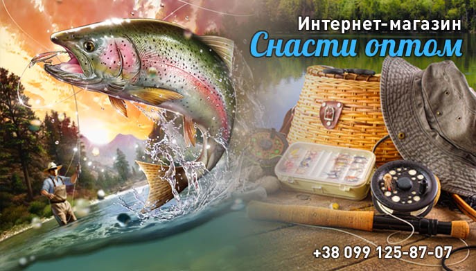 Главная
