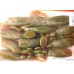 Принада-Їстівка силіконова Winner, TBR-019, 75мм, колір № 14 Принада-Їстівка силіконова Winner, TBR-019, 75мм, колір № 14